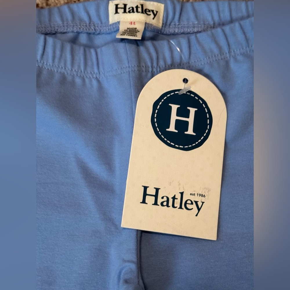 NWT Girls’ Hatley 4T Outfit “Have Fun” Rainbow Tee + Leggings - Picture 12 of 12